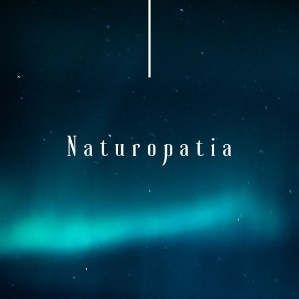 Curso de Naturopatia